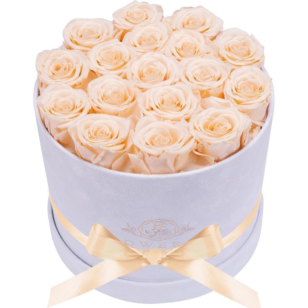 17 Flowers in a Luxury Suede Box Birthday Gifts Preserved Flowers Champagne